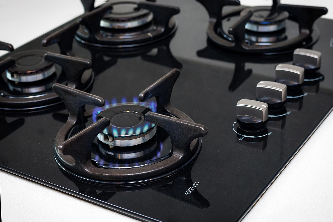 gas stove cooker